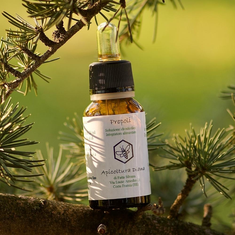 Propoli idroalcolica gocce - Apicoltura Diana