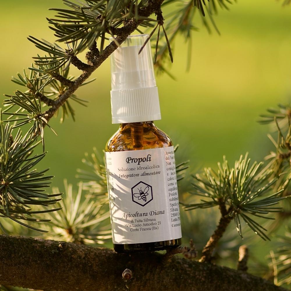 Propoli idroalcolica spray - Apicoltura Diana