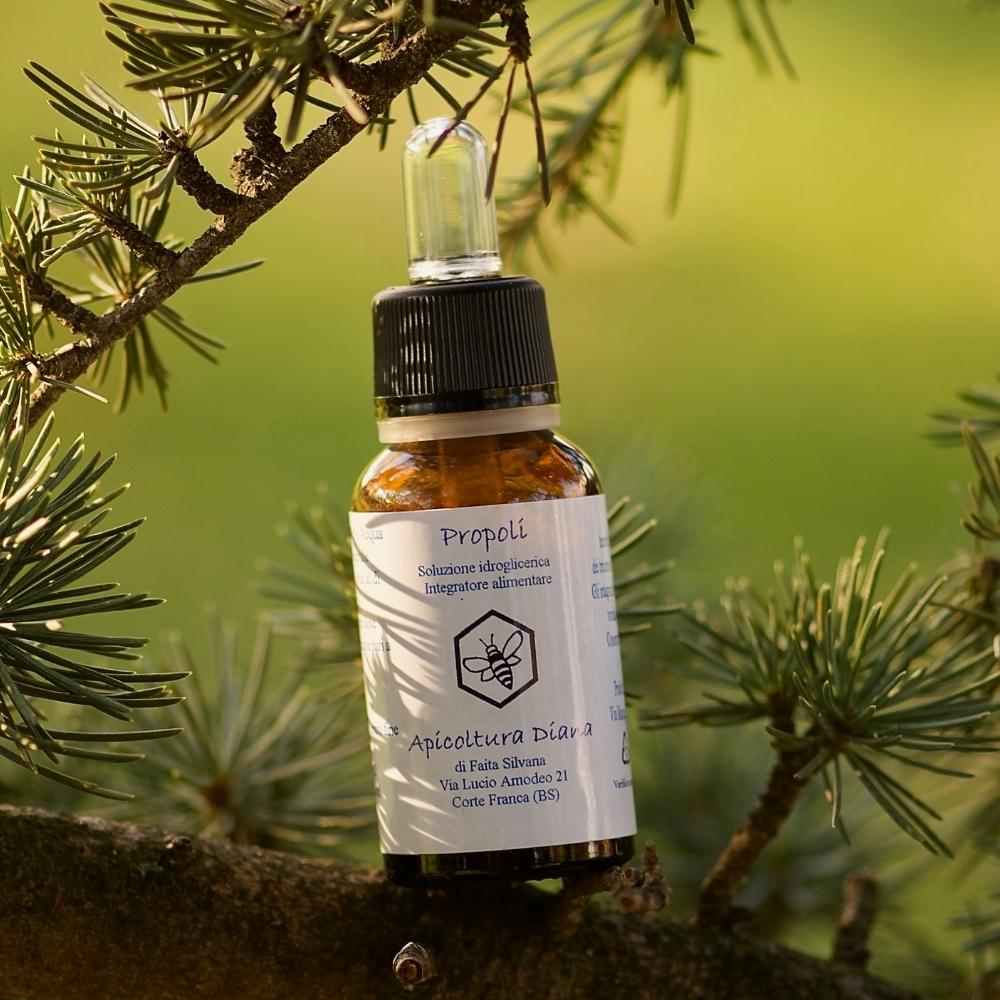 Propoli idroglicerica gocce - Apicoltura Diana
