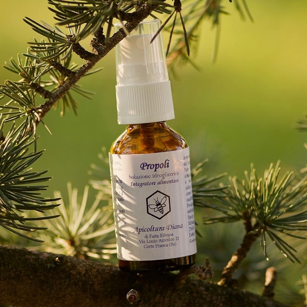 Propoli idroglicerica spray - Apicoltura Diana